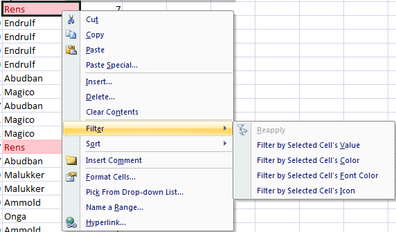 How to apply a quick filter in Excel 2007