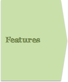 Microsoft Office Online Training Features