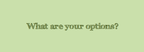 Online Training Options