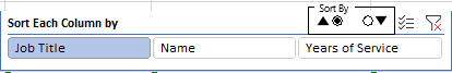 1616515215641_Slicer-and-Option-Button-Image-1.PNG