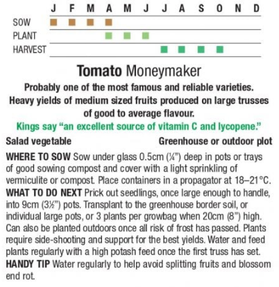 Tomato-2.png
