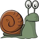 Snail