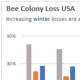 Excel Chart Titles