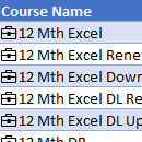 Power BI Organizational Data Types