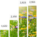 picture fill excel charts