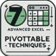 Advanced PivotTable Techniques